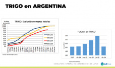 Trigo: comenzaron las siembras... ¿y los precios?; con Lorena D´Angelo - Clínica de Granos